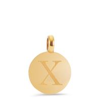 Coin-Anhänger Buchstabe X Edelstahl gold IP Ø11 mm-597101