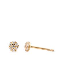 Ohrstecker 585/14 K Gelbgold Zirkonia 14 Steine Ø4 mm-598022
