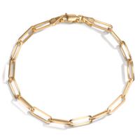 Armband 585/14 K Gelbgold 19 cm-601339