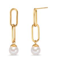 Ohrhänger Edelstahl gelb IP beschichtet shining Pearls-604160