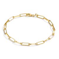 Armband 585/14 K Gelbgold 19 cm-604837