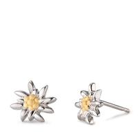 Ohrstecker Silber bicolor rhodiniert Edelweiss Ø10 mm-604901
