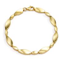 Armband 375/9 K Gelbgold 19.5 cm-607255