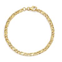 Armband 585/14 K Gelbgold 19 cm-607606