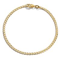 Armband 375/9 K Gelbgold 20 cm